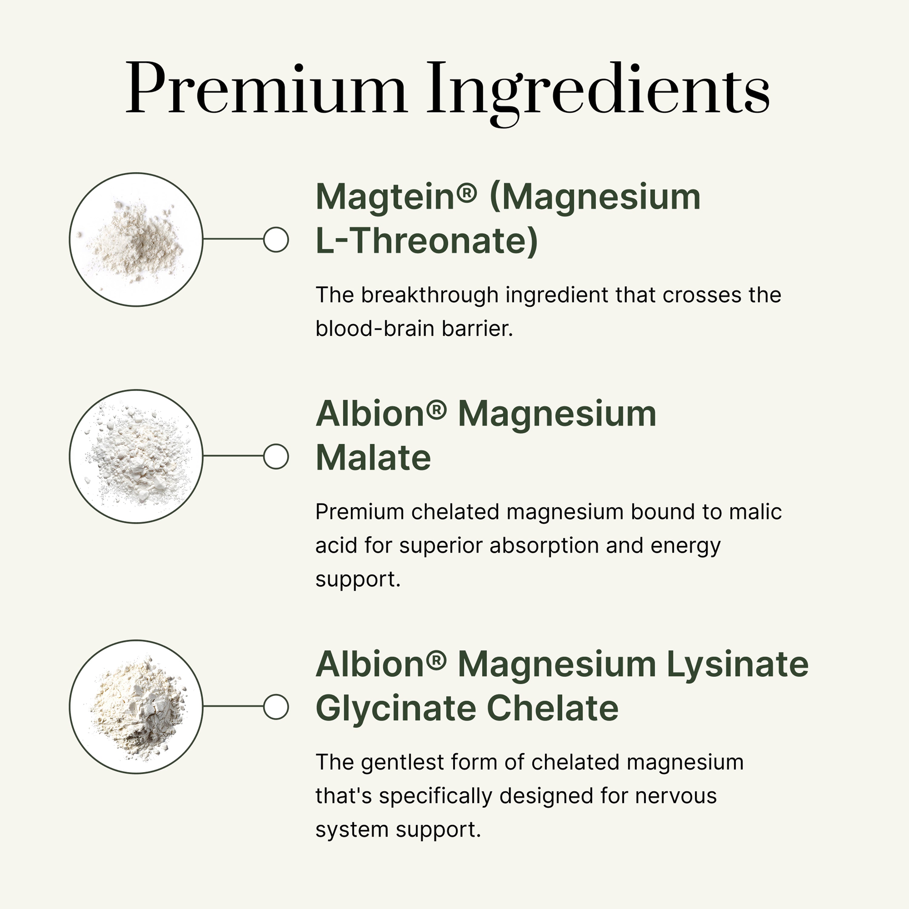 The Magnesium